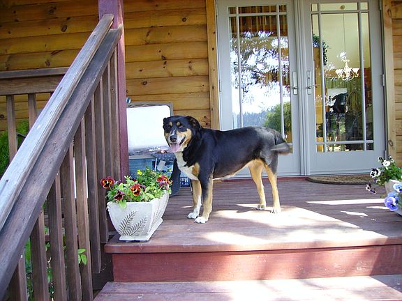 Front w/covered porch