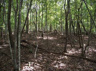 Cameron Rd, Cleveland, GA 30528