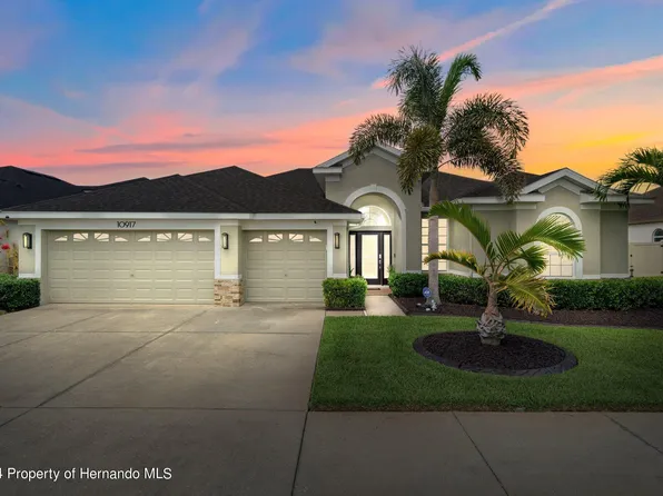 10917 Rockledge View Dr, Riverview, FL 33579