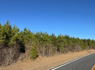 LOT 3A Whitfield Rd, Elko, GA 31025