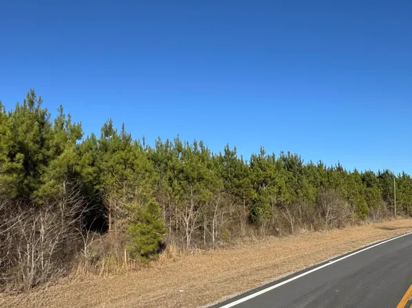 LOT 3A Whitfield Rd, Elko, GA 31025