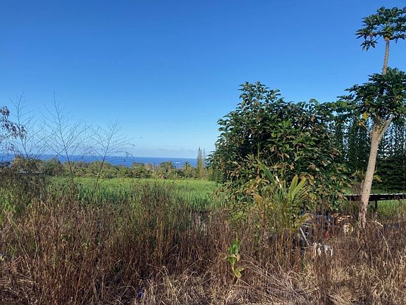 2nd image of 29-3844 Pueoihi Rd Lot 13