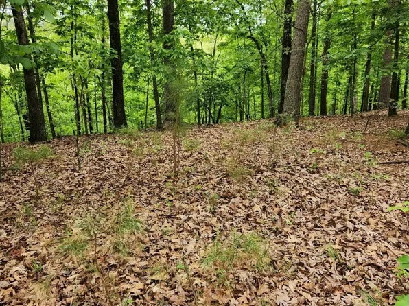 W Clear Creek Rd, Kansas, OK 74347