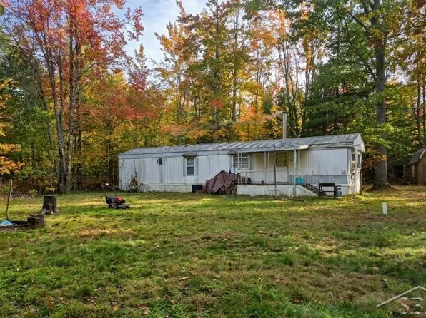 697 S Brown Trl, Indian River, MI 49749
