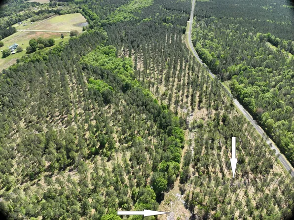 0 Addidas St Lot 16, Eutawville, SC 29048