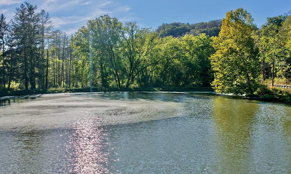 13th image of this home