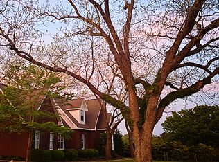 971 County Road 25, Midland City, AL 36350