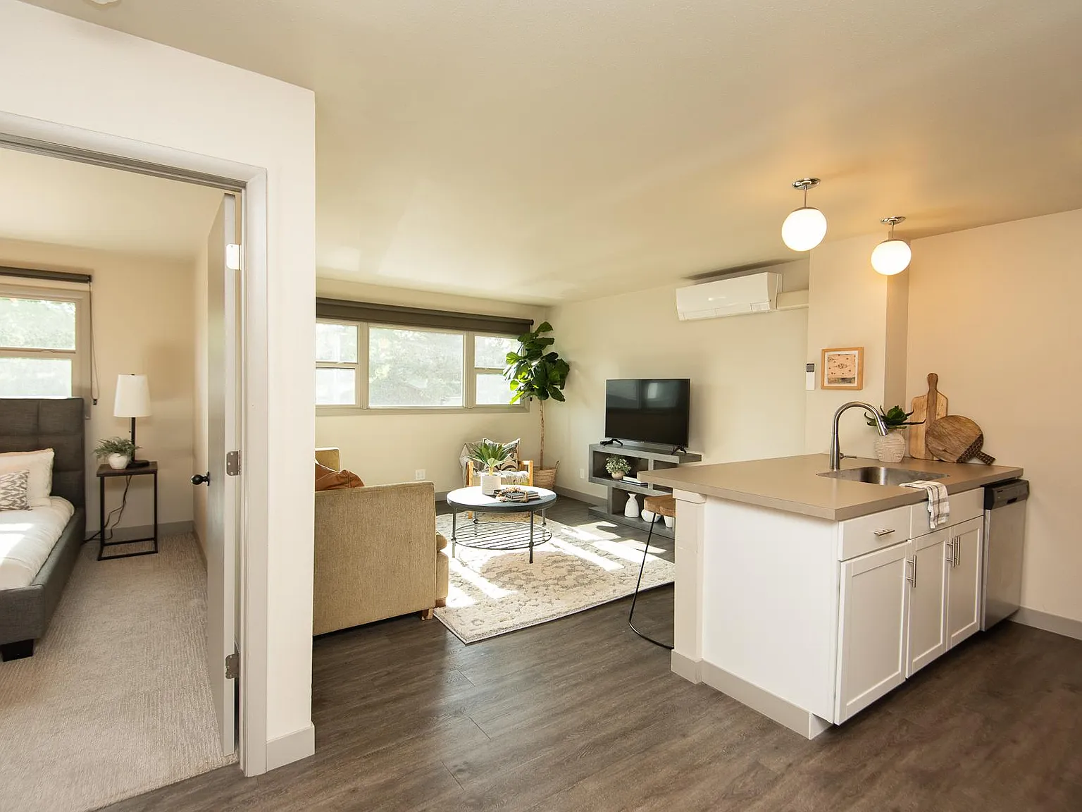 1 bed, 550 sqft, $895 — Photo 4