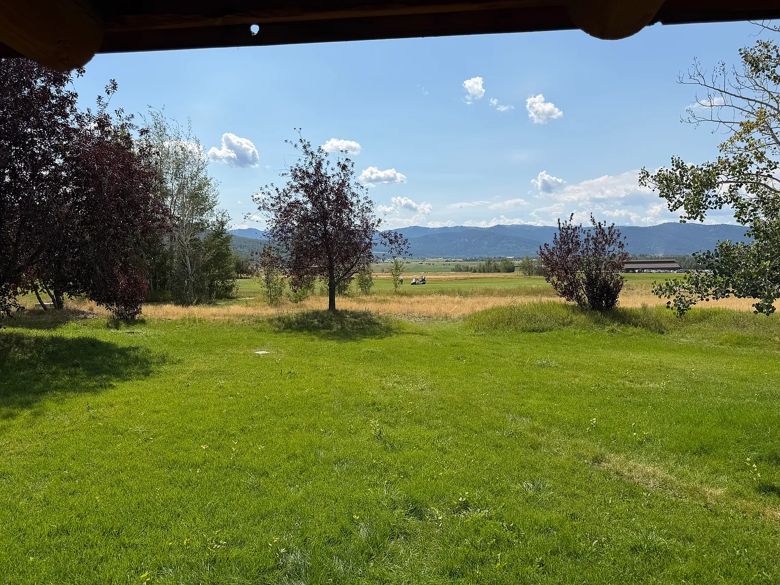 2 bed, 874 sqft, $1,800 — Photo 2