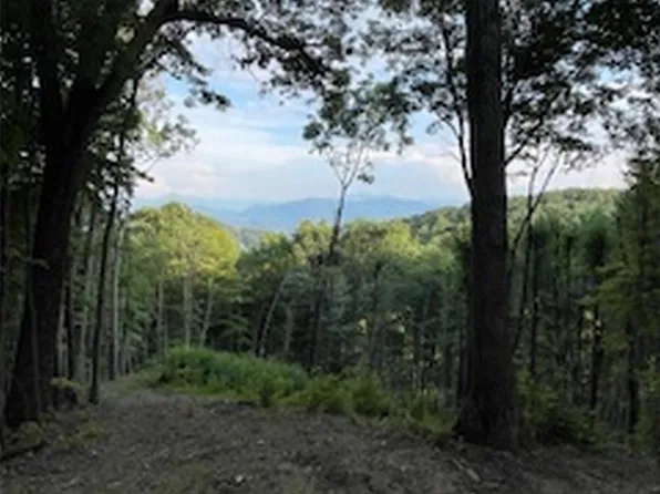 26 Kaleidoscope Cv, Waynesville, NC 28785
