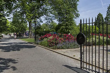 Rented by Dixon Advisory USA Inc.