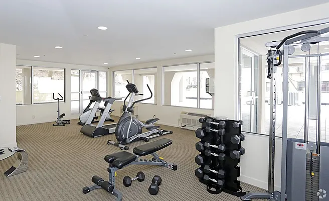 Rented by Casandra Properties Inc. | media 17