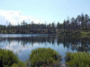 80 Acres Mead Fire Ln, Newberry, MI 49868