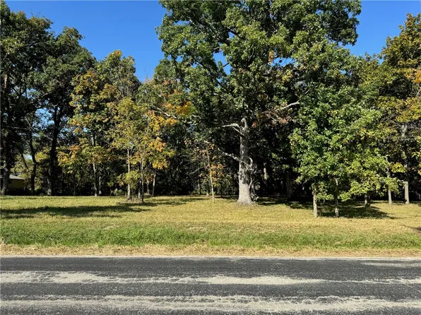 9262 Caleb Rd, Argenta, IL 62501