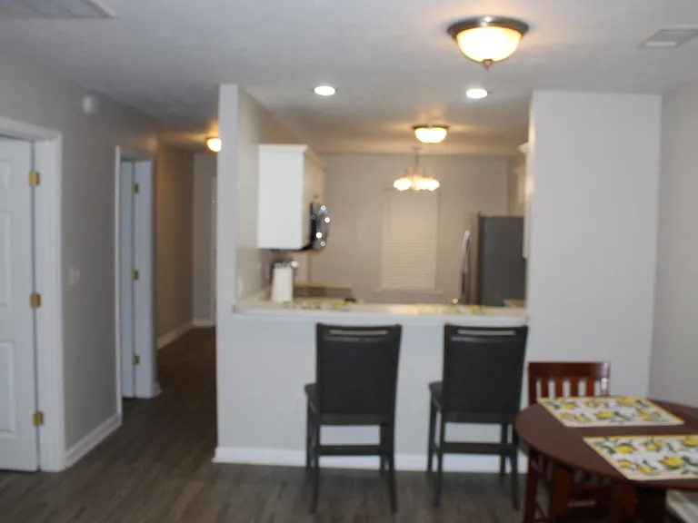 1802 Honeysuckle Way — Photo 71