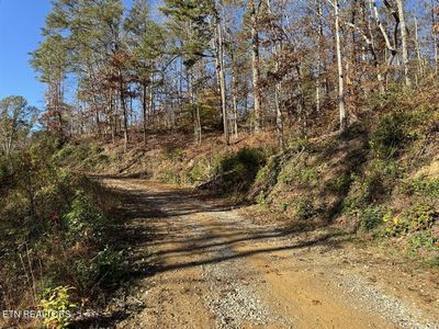 0 Mulberry Way Lot 42, Sevierville, TN, 37876