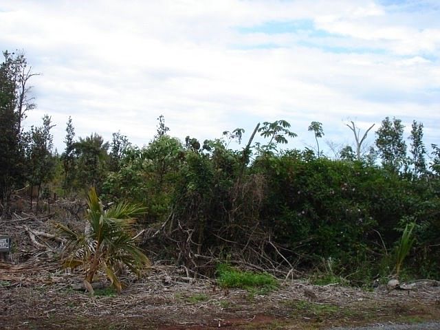 2nd image of 6th Ave Lot 2272