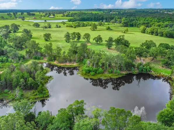 100 Acres Dm #773, Grand Saline, TX 75140