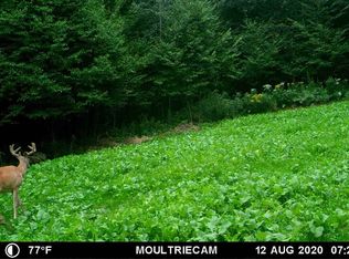 242563 Tobias Rd, Aniwa, WI 54408