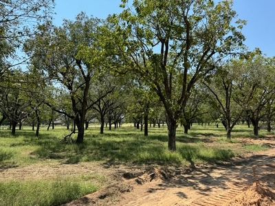 3101 E Landings South Dr, Granbury, TX, 76049