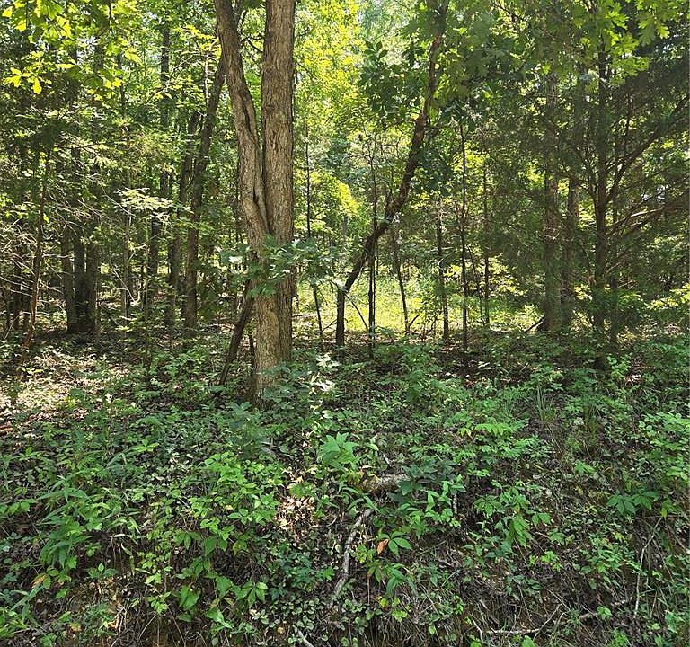 1st image of 1 County Road 421