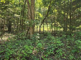 1 County Road 421, Birch Tree, MO 65438