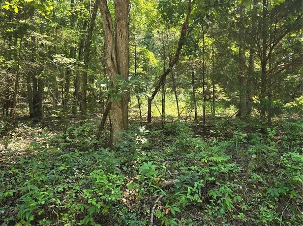1 County Road 421, Birch Tree, MO 65438