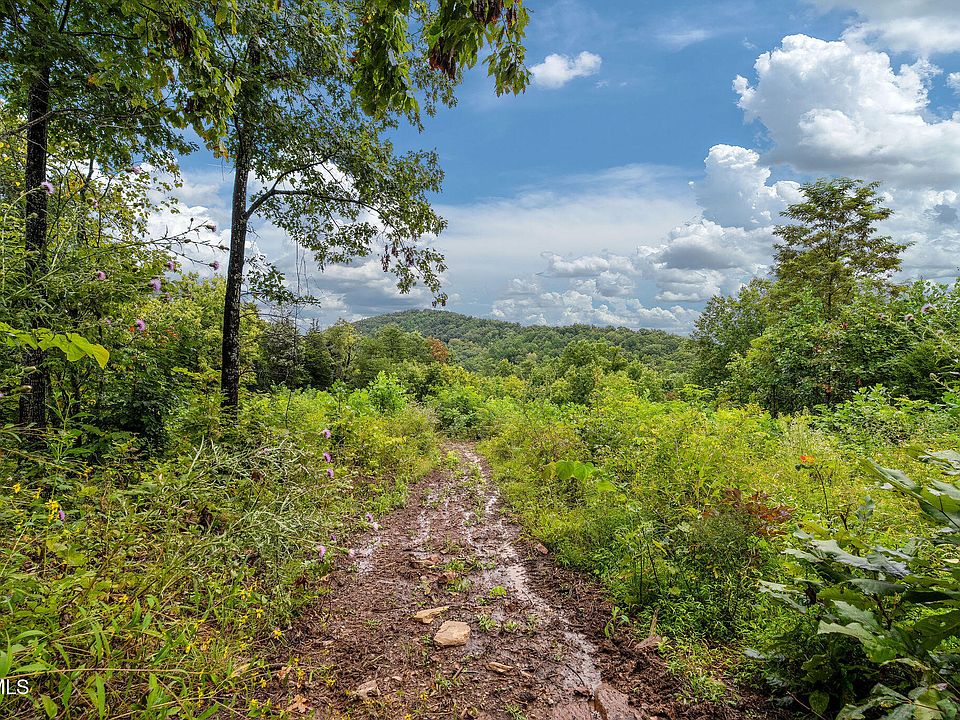 79th image of this home