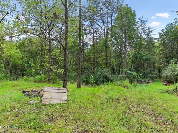 Sawmill Rd #3, Palmer, TN 37365