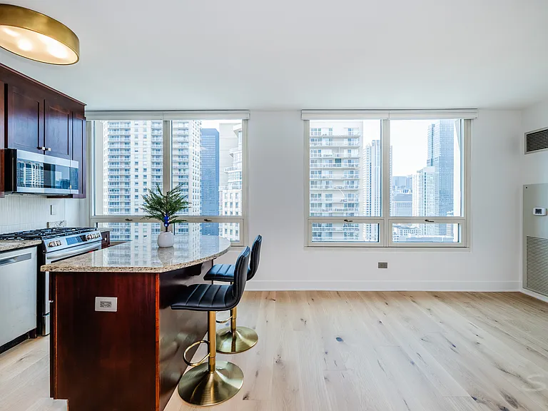 33 W Ontario St #31D — Photo 26