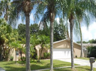 3704 Orangecrest St, Valrico, FL 33596