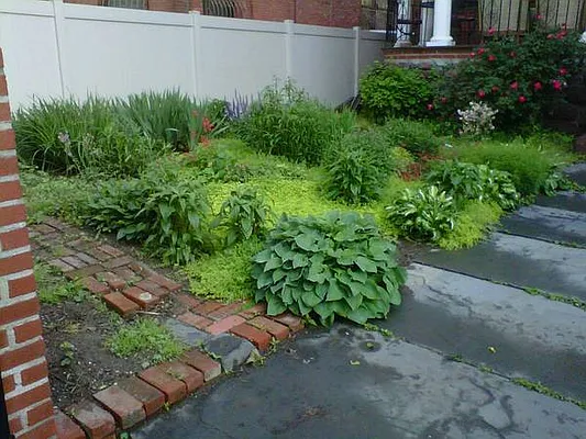 Rented by Rapid Realty Cobble Hill | media 14