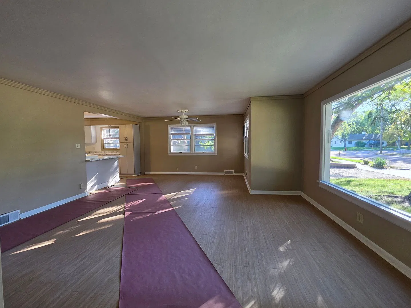 Newly Renovated in Quiet Neighborhood — Photo 3
