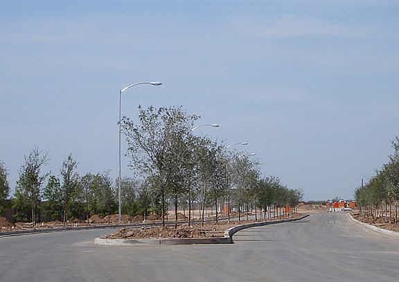 3rd image of 10853 E Bella Via Way