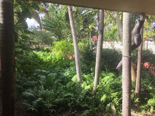Landscaping