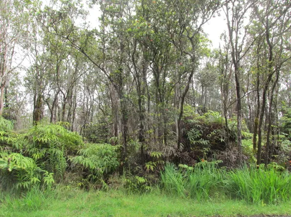 11-3086 Puolani St Lot 335, Volcano, HI 96785