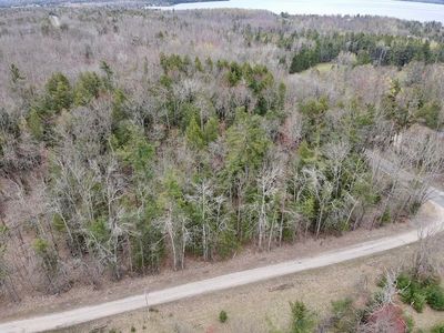 Par 2 Needles Rd, Indian River, MI, 49749