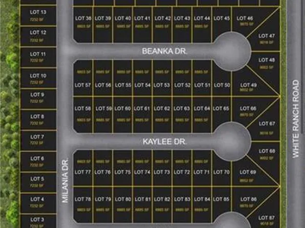 95 Ava Dr, La Feria, TX 78559