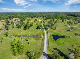 8275 Highway 165, Ravenel, SC 29470