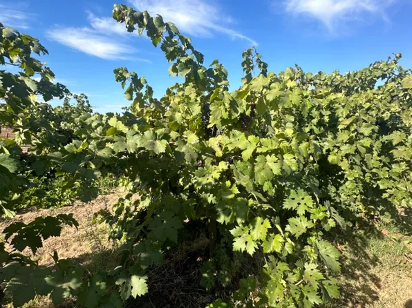 21601 N Kennefick Rd, Acampo, CA 95220