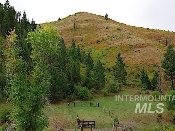 N Grays Creek Rd, Indian Valley, ID 83632