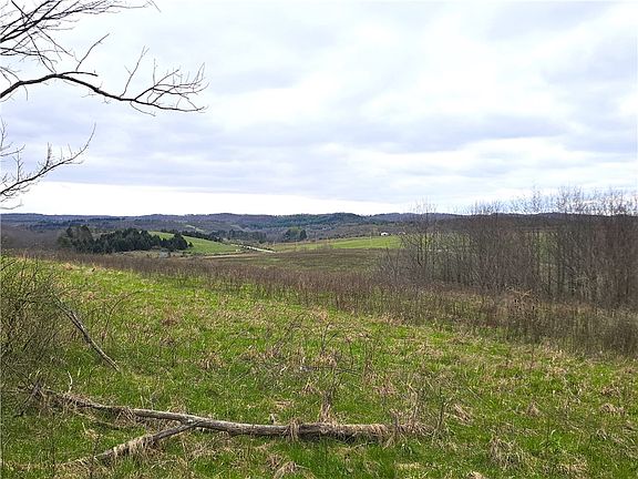 5th image of Cherry Church Run Rd
