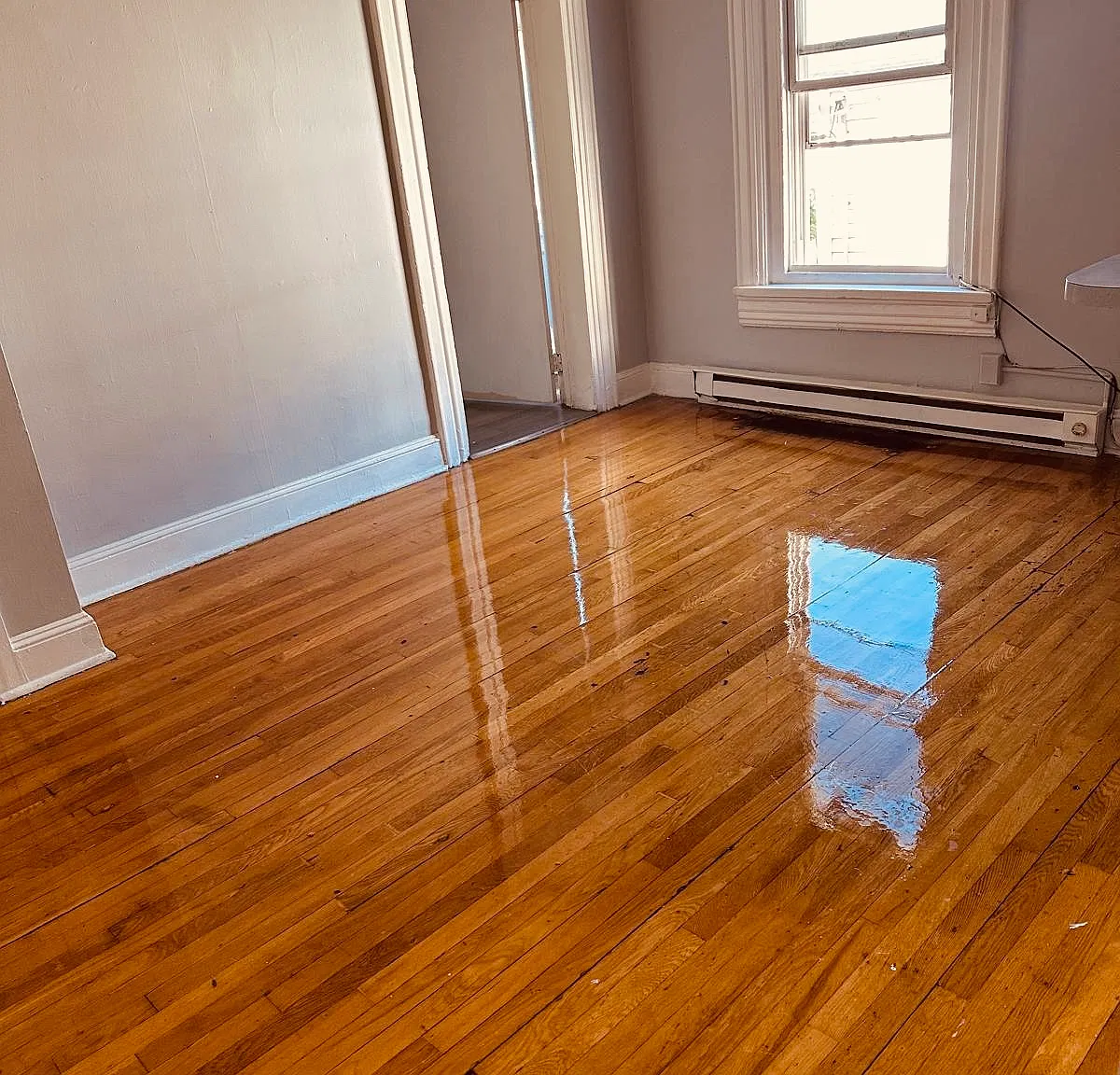 1 bed, $1,150 — Photo 3
