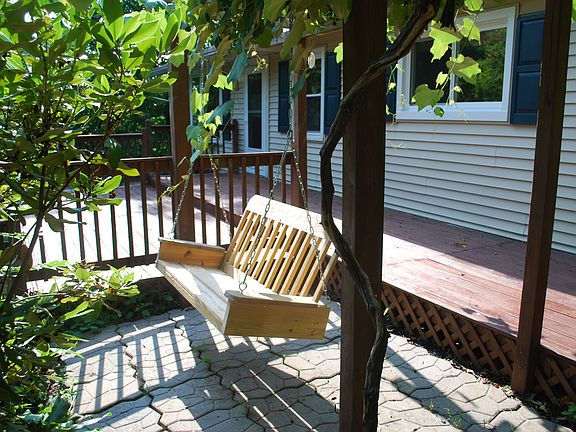 Porch swing / Grape vines
