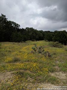 2046 Alsace, New Braunfels, TX, 78132