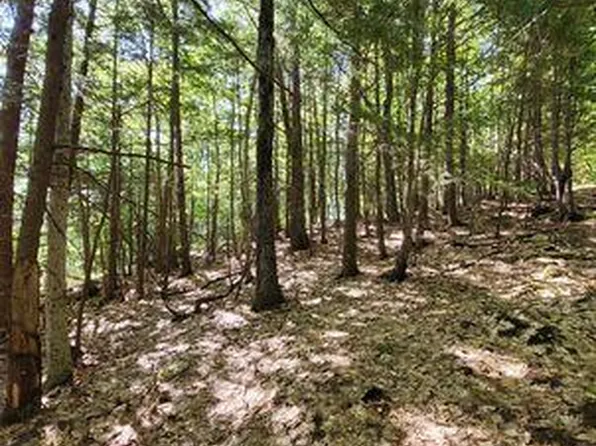 Lot 29 High Street, Rumford, ME 04276