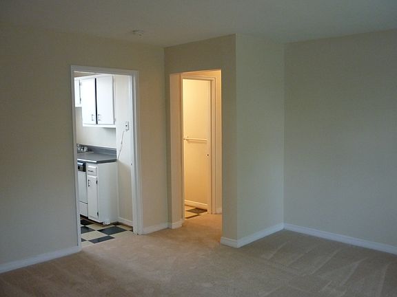Carpet
