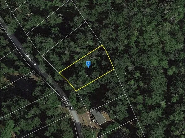 12313 Cole Point Drive, Anderson Island, WA 98303