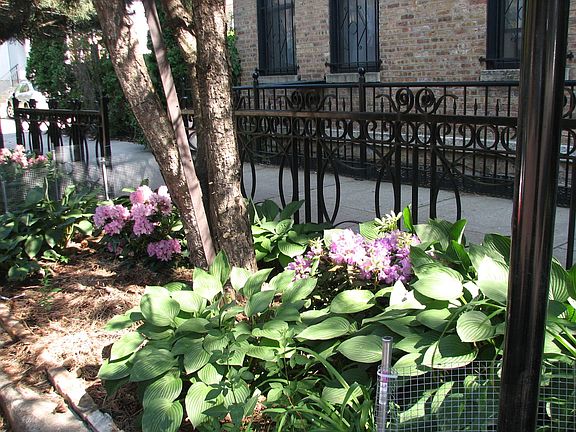 5th image of 1459 N Bosworth Ave APT 3F