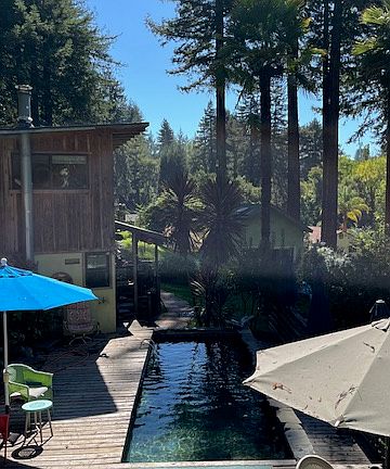 view from back deck looking at pool which is filled part of the year.